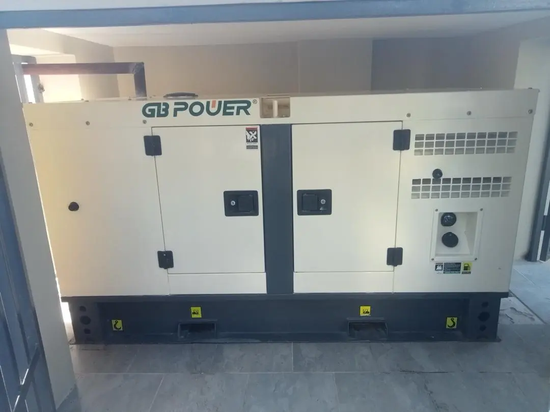 Enclosed generator positioned in a dedicated plant area